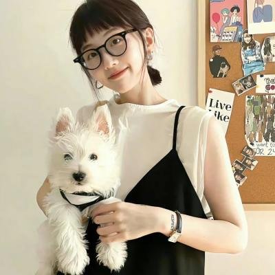 狼与狮子